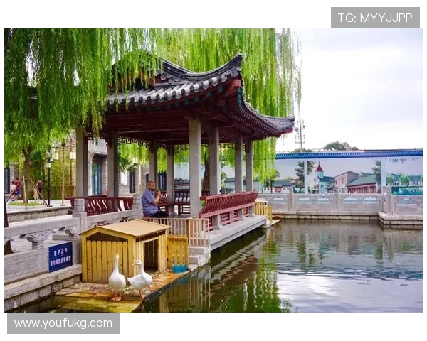 探寻“老湿第12部”的文化符号与时代印记