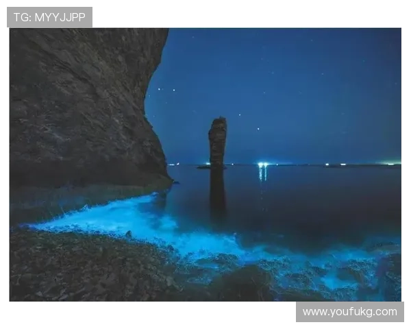 微爱：点亮生活的细微光芒，汇聚成爱的璀璨星河